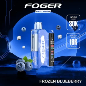 Frozen Blueberry Kit 30K Puffs