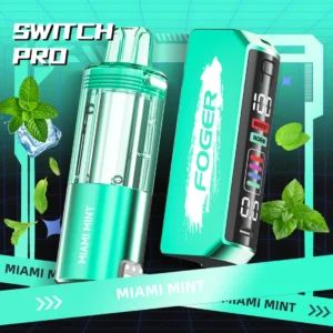 Miami Mint Foger 30K Puffs